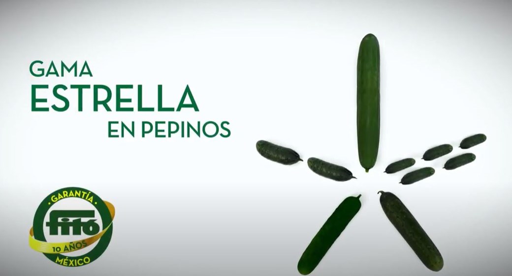 prekiauti bitcoin vertcoin
